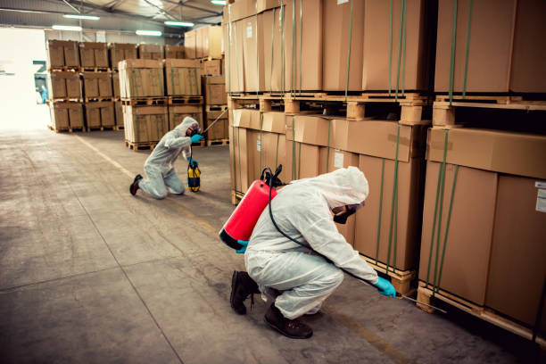 Best Emergency Pest Control  in Truman, MN