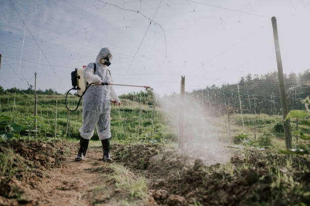 Best Commercial Pest Control Services  in Truman, MN