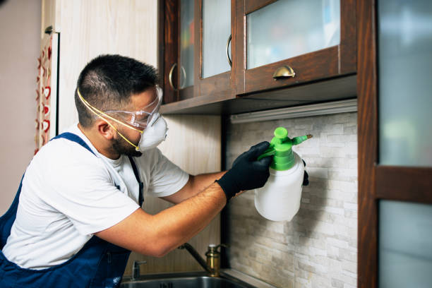 Best Best Pest Control Companies  in Truman, MN