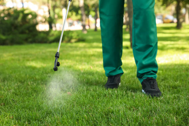 Best Flea Control Services  in Truman, MN