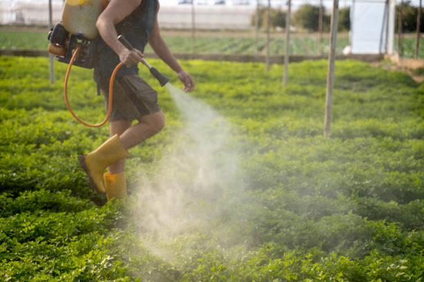 Best Affordable Exterminators  in Truman, MN