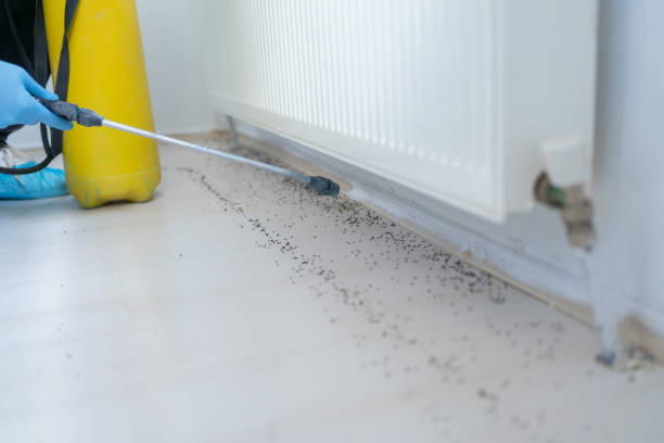Best Emergency Pest Control  in Truman, MN