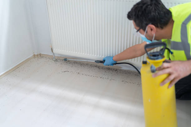 Reliable Truman, MN Pest Control Solutions